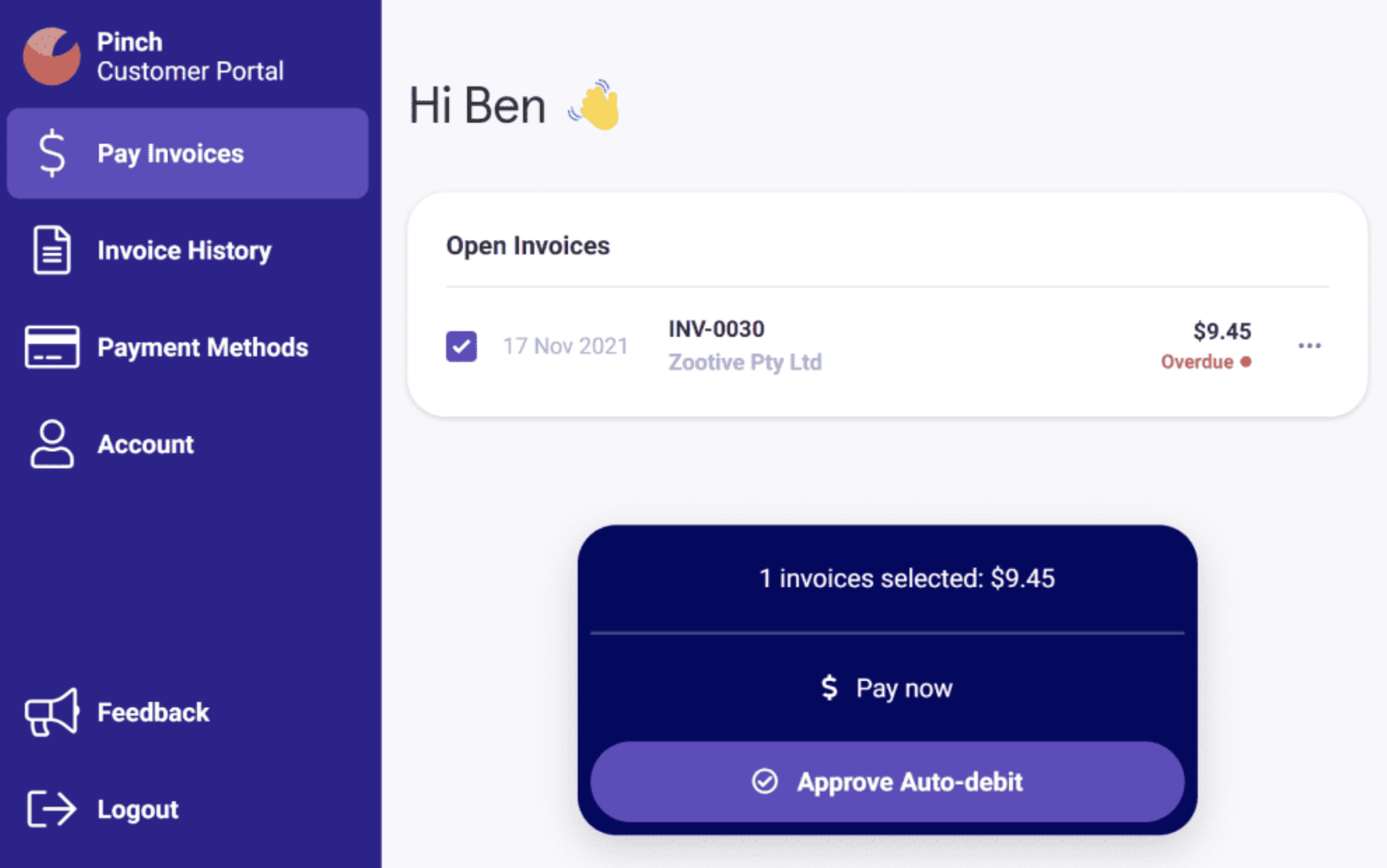 Customer Portal - Pinch